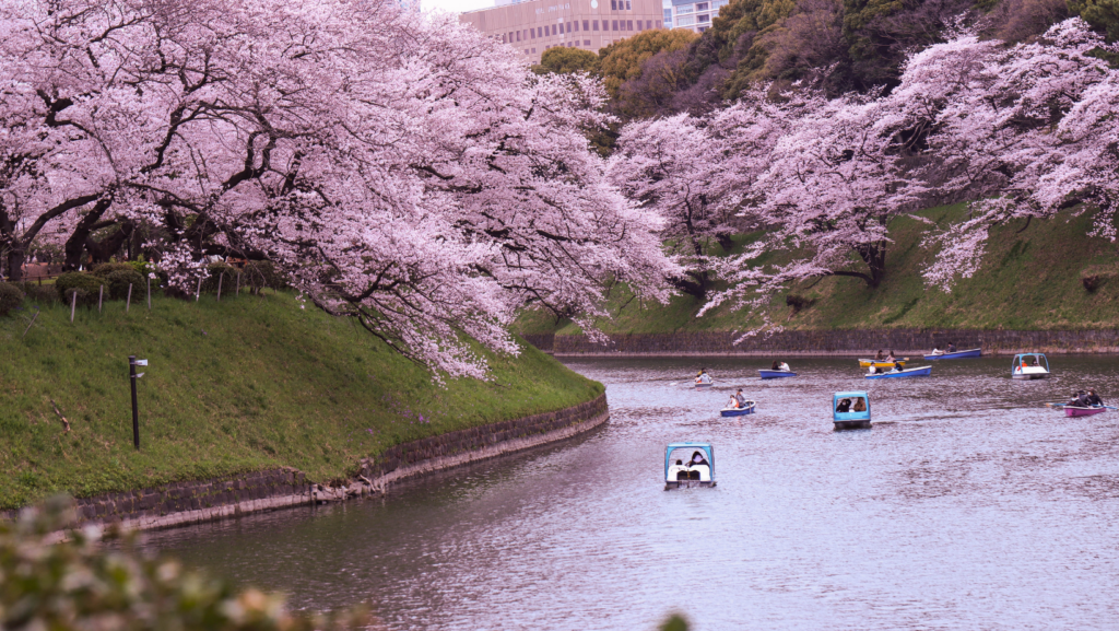 Chidorigafuchi_Fonte-Canva-1024x577-1 Roteiro de 2 dias em Tóquio: tecnologia, santuários e gastronomia de rua Cultura e Patrimônio Ásia Gastronomia e Bares Roteiros e Itinerários Vida Noturna e Eventos