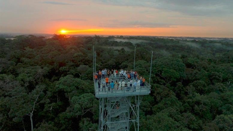 b2ap3_large_WhatsApp-Image-2019-07-31-at-15.18.52 Conheça Manaus em 2 dias: da Amazônia ao encontro das águas Brasil Natureza e Aventura