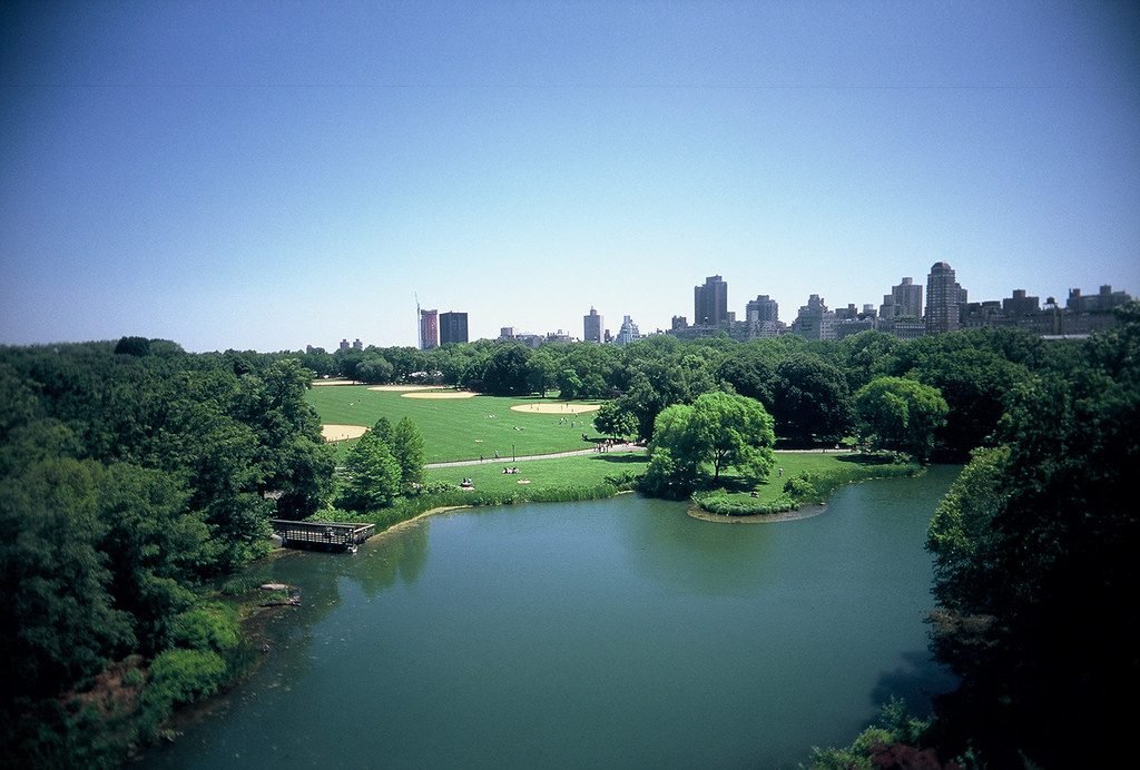 Vista aérea do Central Park com a cidade ao fundo em um dia ensolarado