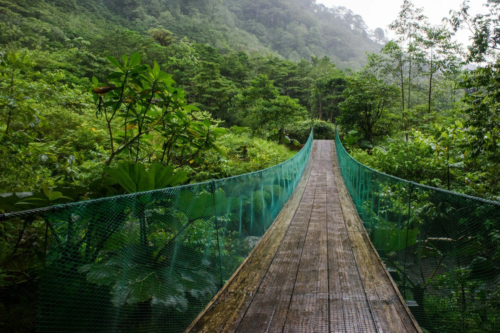 brown wooden bridge over green mountains during daytime in america central