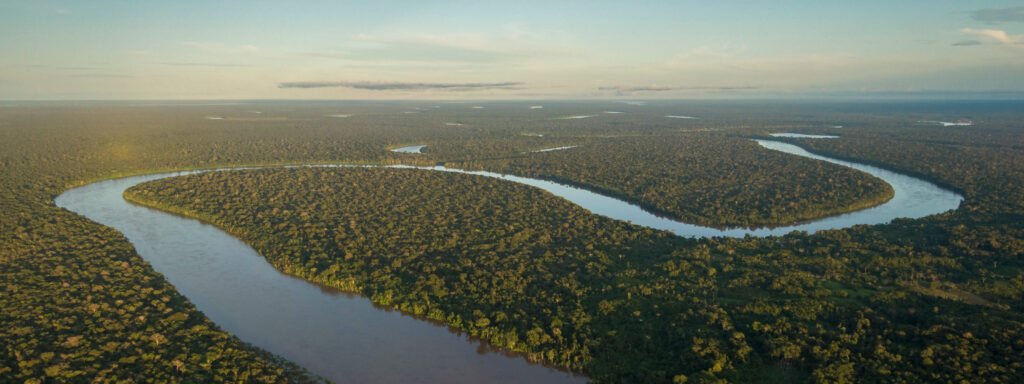 manaus-99-c-1024x384 Brasil 