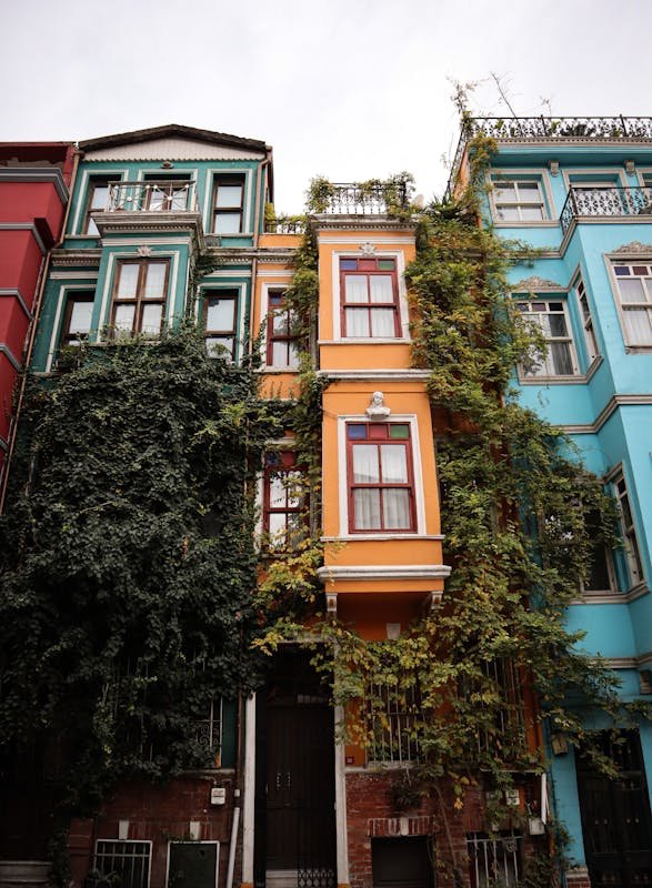 Colorful buildings in Istanbul adorned with lush ivy, showcasing unique architecture.