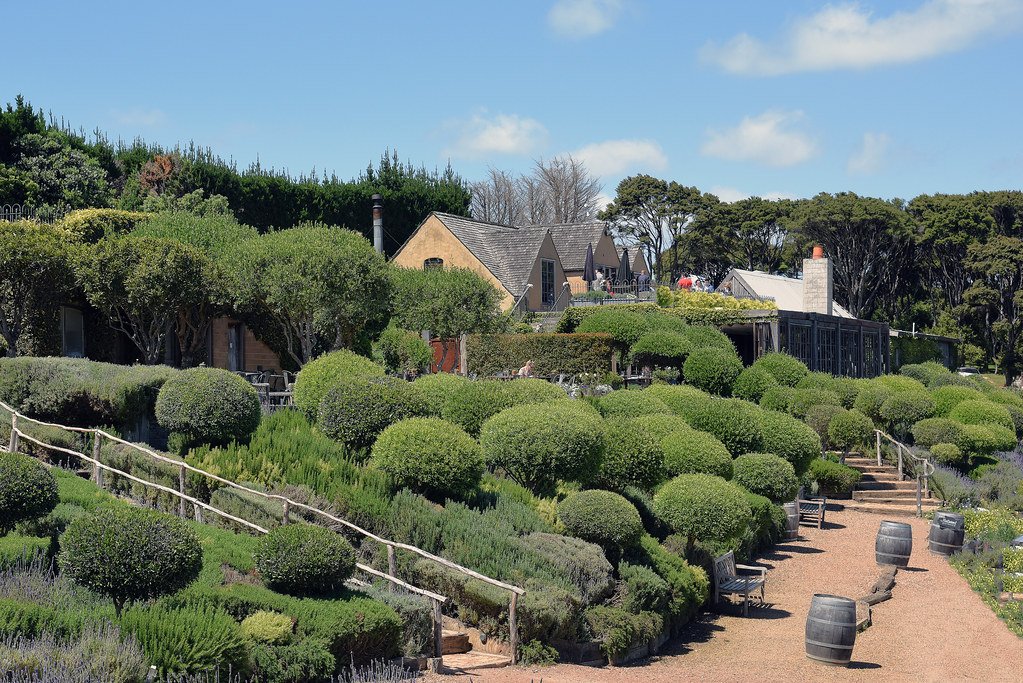 Mudbrick Vineyard auckland