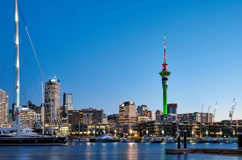 city skyline during night time