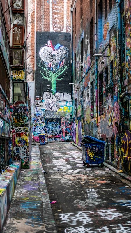 graffiti wall alley during daytime beco de Hosier Lane Melbourne